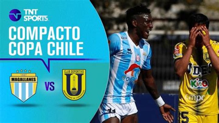 Fan Sentiment After Palestino vs Deportes Magallanes – Community Verdict & Poll Results | Copa Chile 2026