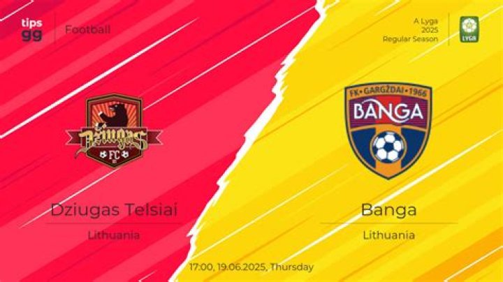 Tactical Warfare: How Lineups and Substitutions Decided the Džiugas Telšiai vs FK Sūduva Marijampolė Clash