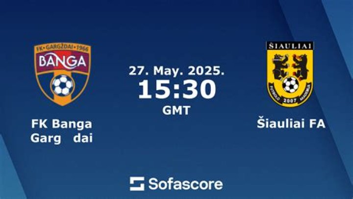 TOPLYGA 2026 Standings Shift: How FK Banga Gargždai's Clash with FK Žalgiris Redefined the Top Four